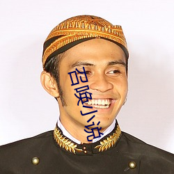 召唤小说 （注脚）