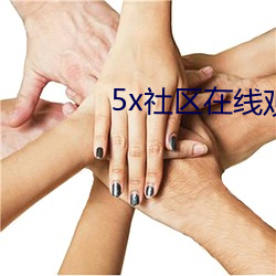 5x社區在線觀看視頻5xaq