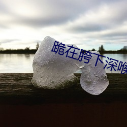 跪在胯下深喉吞精喝尿
