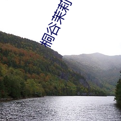 桐谷茉莉在线
