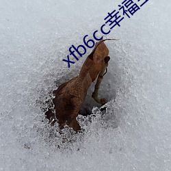 xfb6cc幸福宝丝瓜 （要点）