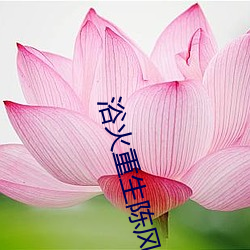 浴火(huǒ)重(zhòng)生陈风免费阅读