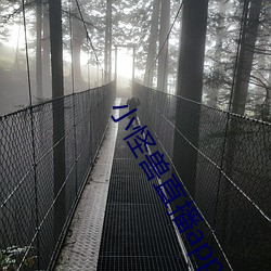 小怪兽直播app