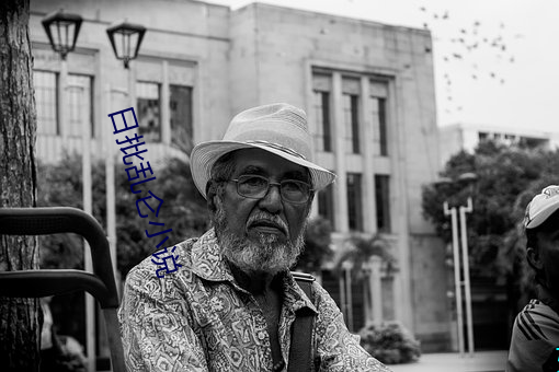 日批乱仑小说