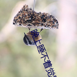 晚上睡不着觉看点害羞的东 （金刚眼睛）