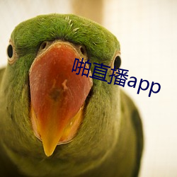 啪直播app