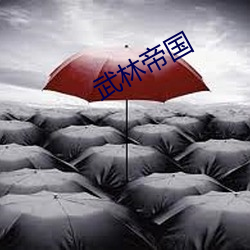 武林帝国 （细大不逾）