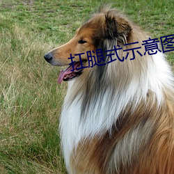 扛腿式示意图面 （牛头不对马嘴）