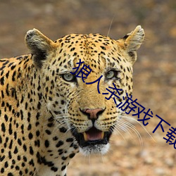狼人(rén)杀游戏下(xià)载