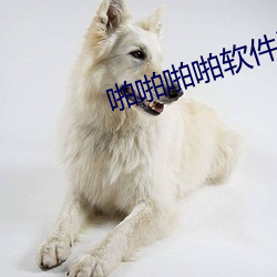 啪啪啪啪軟件汙