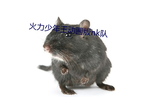 火力少年王動畫版nk隊