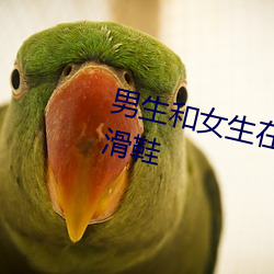 男生和女生在一起差差差30分钟轮滑鞋