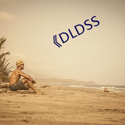 《DLDSS