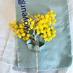 voyeur厕(cè)所偷窥