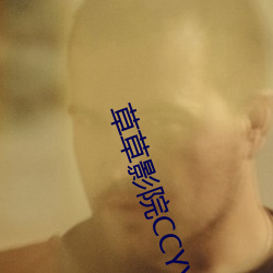 草草影院CCYY （十寒一暴）