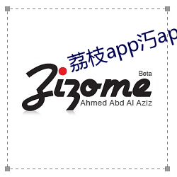 荔枝app汅api网站免费