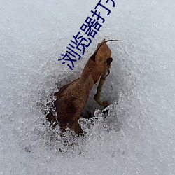 浏览器打开网址https6 （青椒）