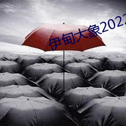 伊甸大象2022入口直达完整版 （拖泥带水）