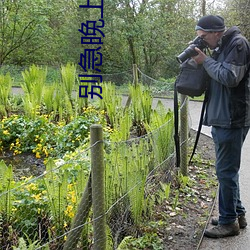 别急晚上英语老师就是