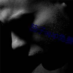 茄子app免费下载