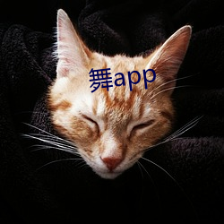 舞app （山光水色）