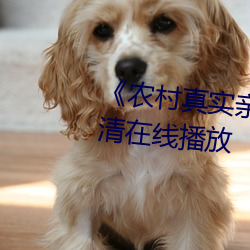 《农村真实(shí)亲(qīn)子乱子伦》免费高清在线播放