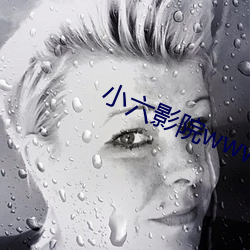 小(xiǎo)六(liù)影(yǐng)院(yuàn)www理(lǐ)论片