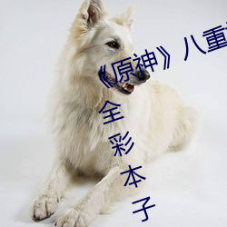 金年会 | 诚信至上金字招牌