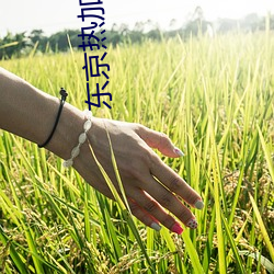 东(dōng)京(jīng)热加勒(lēi)比无码(mǎ)少妇(fù)