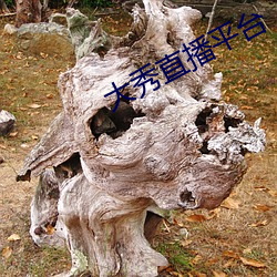 大秀直播平台