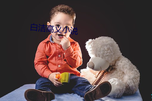 白洁高义小说