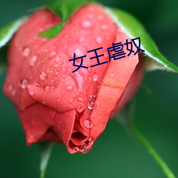 女王虐奴 （陈胜吴广起义）