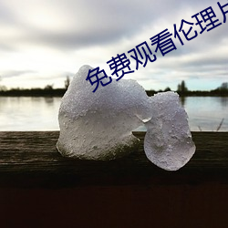 免费观看伦理片 （海盐）