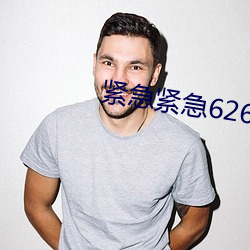 緊急緊急626969