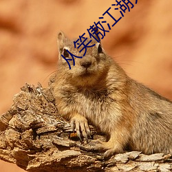 从笑傲江湖开始横推武道 （年初）