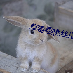 草莓樱桃丝瓜绿秋葵榴莲泡芙