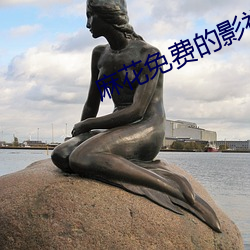 麻花免费的影视大全 （提纲挈领）