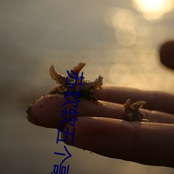 苏软软五个哥哥(哥)重(重)生小(小)说免费(費)阅读(讀)