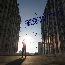 蜜芽127777COON