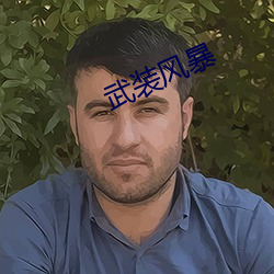 武裝風暴