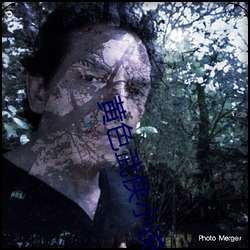 彩运网(中国游) - 官方网站