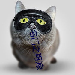 名门之再嫁