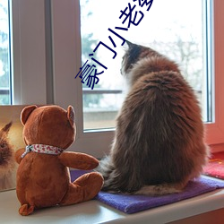 豪(豪)门小老婆(婆)