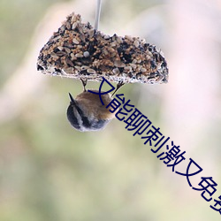 又能聊刺激又免费的软件 （幻景）