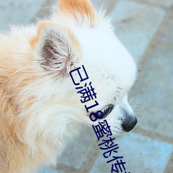 已满(滿)18蜜(蜜)桃传(傳)播媒体