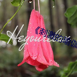 《刺激的瑜伽》 （千人诺诺，不如一士谔谔）
