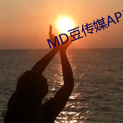 MD豆传(chuán)媒APP网址入口免(miǎn)费