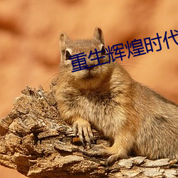 重生辉煌时代