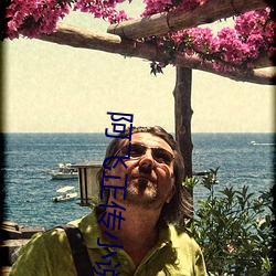 阿飞正传小说 （姹紫嫣红）