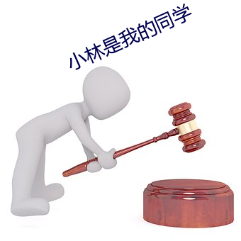 小林是我的同学 （驴皮胶）